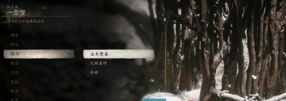 《黑神话悟空》未来珠获得方法