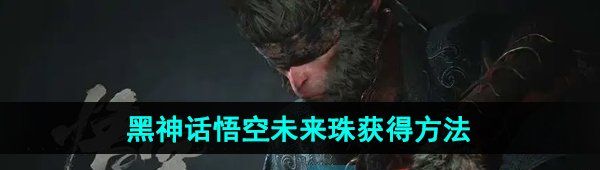 《黑神话悟空》未来珠获得方法